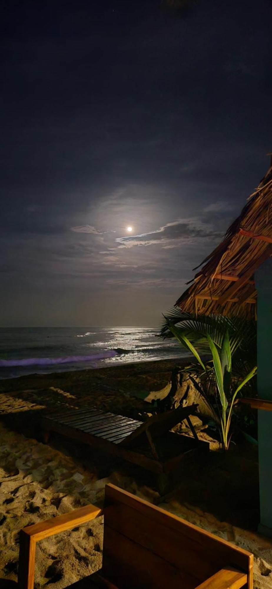 Bob Marley Beach Guachaca Exteriör bild